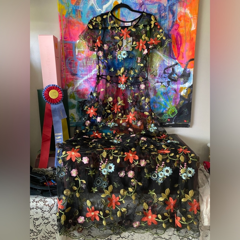 GORGEOUS Sheer Black Floral Embroidery Maxi Dress FAB for Layering LuLaRoe 💖 M